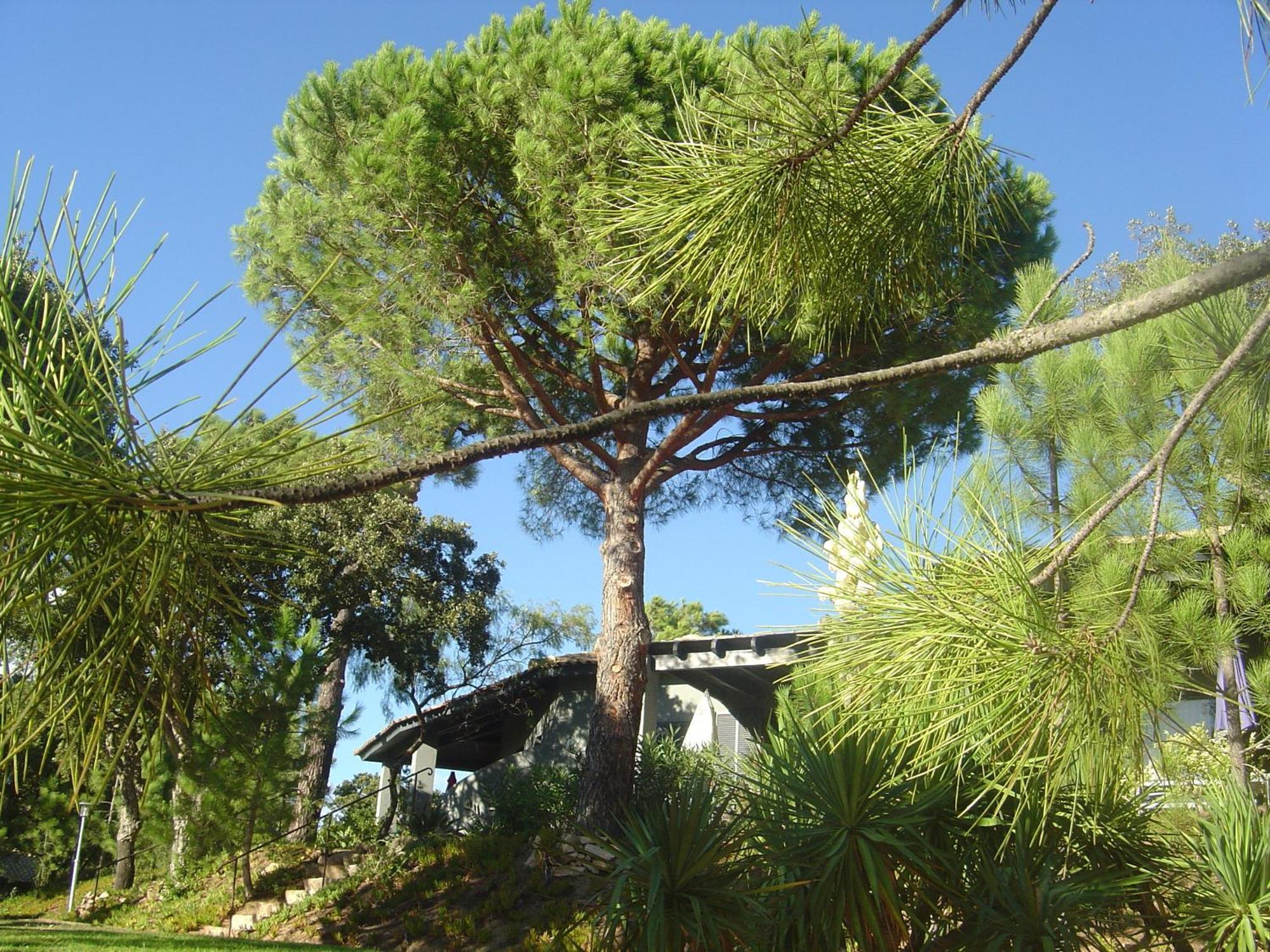 Casa vacanze Résidence Blue Marine Porto Vecchio