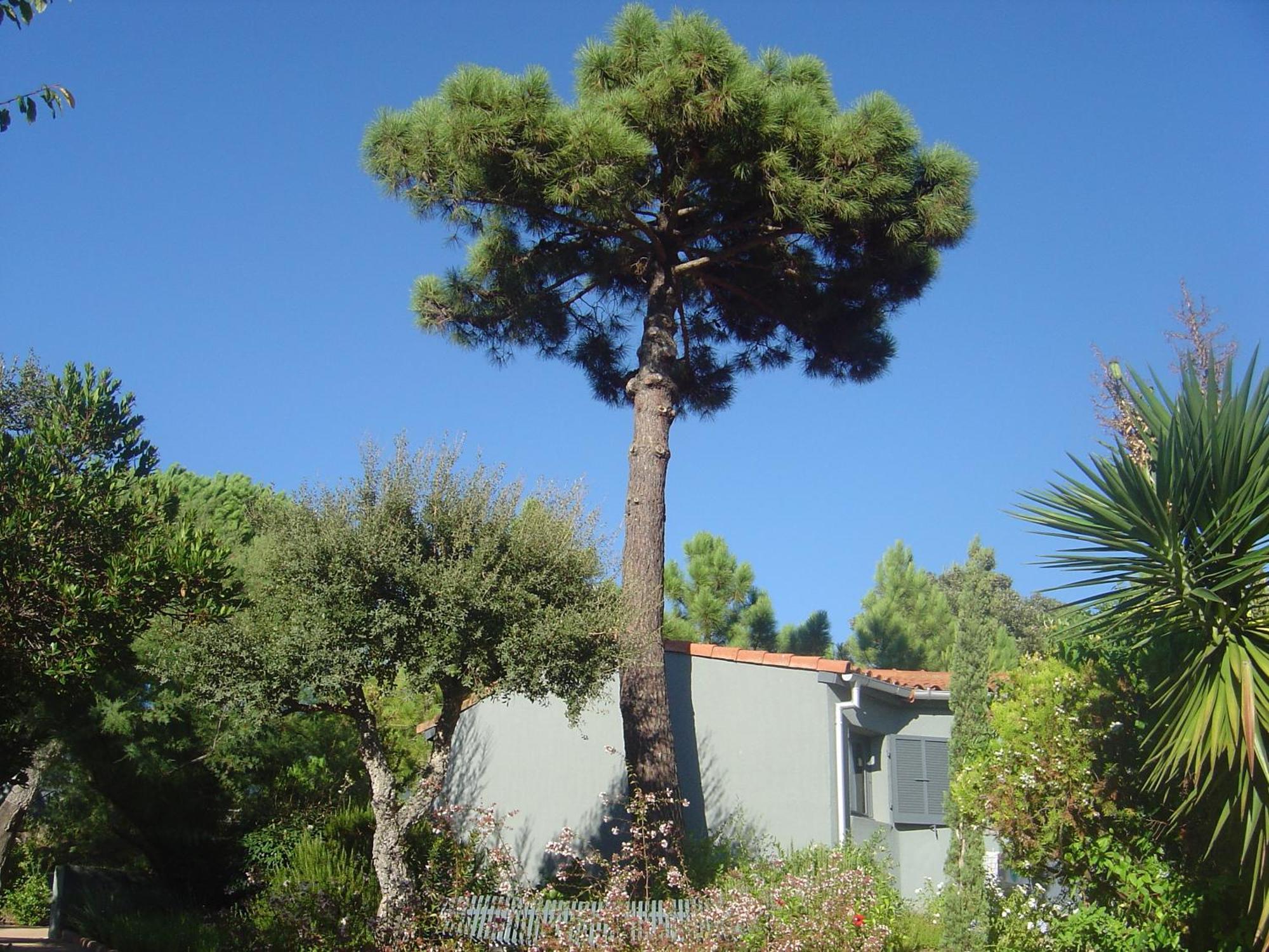 Casa vacanze Résidence Blue Marine